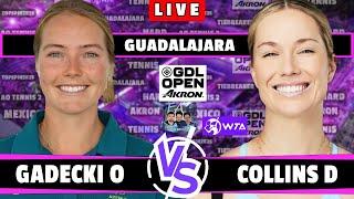 LIVE: COLLINS D VS GADECKI O  • GDL OPEN 2024 #groupstage #final  #tennis #gdlopen