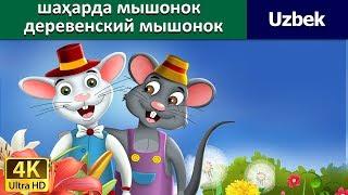Town Mouse & Country Mouse in Uzbek | узбек мультфильм - узбек эртаклари | Uzbek Fairy Tales