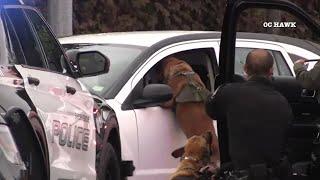 K-9 helps Anaheim police officers take carjacking suspect into custody
