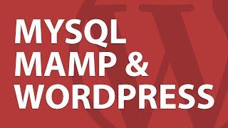 How to Login & Use MYSQL on MAMP | Angela J Holden