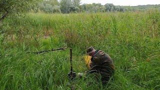 Высадка ириса сибирского и учёт сальвинии в Казанской Швейцарии