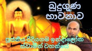 බුදු ගුණ භාවනාව|භාග්‍යවතුන් වහන්සේ දැක ගනිමු|Rev.Ridiyagama Indaloka Thero