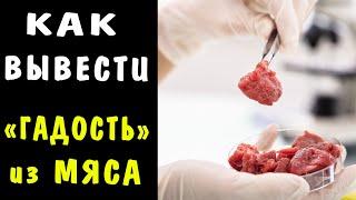 Как ПРАВИЛЬНО ВЫВЕСТИ из Мяса ВСЕ ХИМИКАТЫ