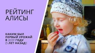 РЕЙТИНГ АЛИСЫ. Каким был первый урожай 5 лет назад (в 2019 году)