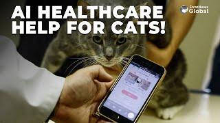 How People In #Japan Are Turning To #Artificial #Intelligence To Get #Healthcare For Their #Cats