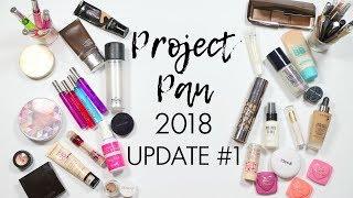 Project 50 Pan 2018 - Update #1