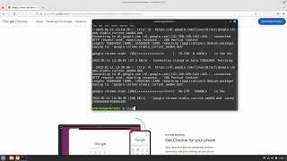 How to Install Google Chrome on Linux Mint 21