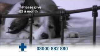 The Blue Cross takes in thousands of unwanted pets each year.