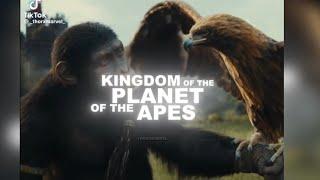 planet of the apes || tiktok compilation #1