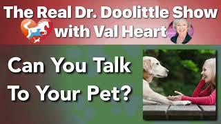 Can You Talk to Your Pet? | The Real Dr Doolittle Show™ With Val Heart | Podcast #1