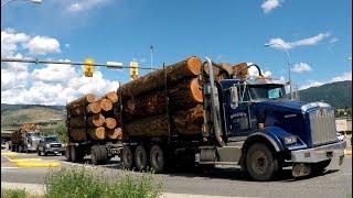 LOGGING TRUCKS #28 -- Various Axle & Trailer Configurations Haulin' Through Town