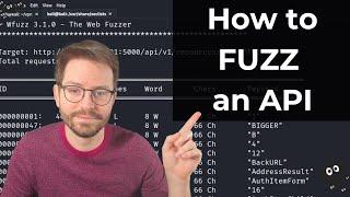 Hacking APIs: Fuzzing 101
