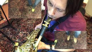 Bari Sax Slap Tongue Shoes