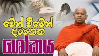 වෙන් වීමෙන් දැනෙන ශෝකය | Venerable Welimada Saddaseela Thero