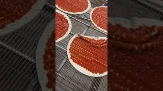 Pizza sauce applicator perfectly applies tomato sauce [FoodJet]