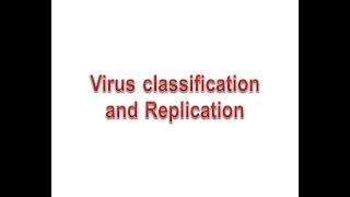 Virus classification and replication