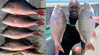 HAUL of BIG Mutton Snapper on a Solo Trip! (FL Keys Bridge Fishing)