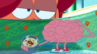 (NEW) Zig & Sharko  THE MAZE  (S03E15) New Episodes in HD