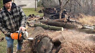 I Chainsaw Milled a Triple Crotch Black Walnut Log that Produced Highly Figured Black Walnut Slabs!