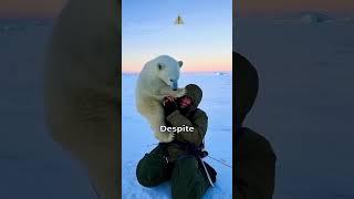 Polar Bear Cub Heartwarming Rescue!  #PolarBearRescue #WildlifeConservation #ArcticAnimals