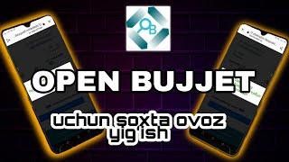  OPEN BUJJET uchun soxta ovoz yigʻish 