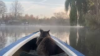 Foggy morning Kayaking with Louiswildlife