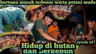 musuh terbesar warta petani muda yaitu ulat bulu bang komri tertawa ngakak hidup di hutan