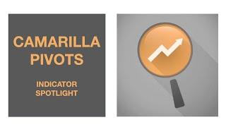 Camarilla Pivots Spotlight