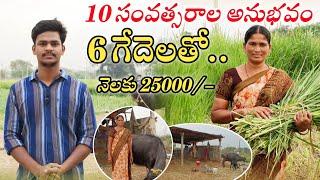 10 సంవత్సరాల అనుభవం ఊహించినంత ఆదాయం.. | Women's Success Story in Dairy Farming | Madhu Undadi Vlogs