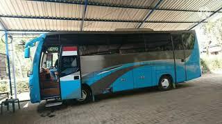 bus medium Murah