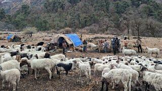 Best Life In Himalayan Village During Winter |Daily Activity Of Remote Villagers |Rural Life Nepal |