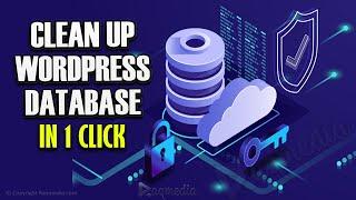 How to Clean Up Your WordPress Database In 1 Click