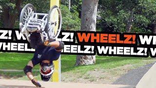 EPIC Skatepark Session With Wheelz