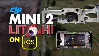 Mini 2 Follow Me Mode On iOS - Litchi Review | DansTube.TV