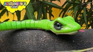 SNAKES vs. DINOSAURS - Invasion of Snake toys Skyheart kids action fight reptiles