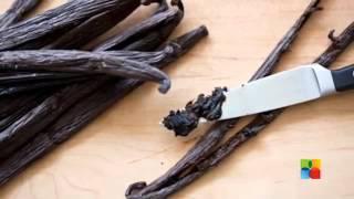 Tip to use of Vanilla Beans