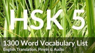 1300 HSK 5 Vocabularies with Pinyin, English Translation & Audio