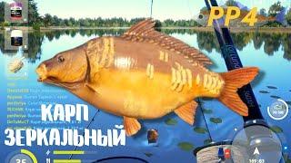 Русская рыбалка 4  -оз.Янтарное. Карп Зеркальный . Mirror carp fish