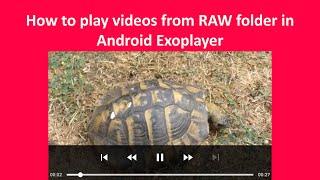 Android Exoplayer - How to play videos from RAW folder