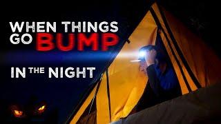 Campsite Security: When things go bump in the night while car camping, overlanding, boondocking