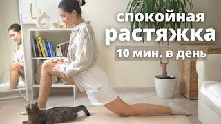 Daily soft stretching in 10 minutes (calm stretching)