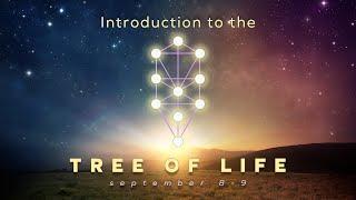 Introduction to the Tree of Life (Promo) - Dr. O - AACTEV8 International