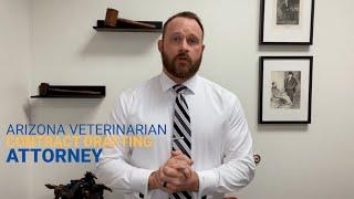 Arizona Veterinarian Contract Drafting Attorney | Chelle Law