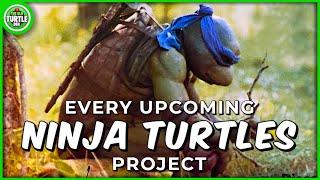 Every Upcoming Teenage Mutant Ninja Turtles Project!