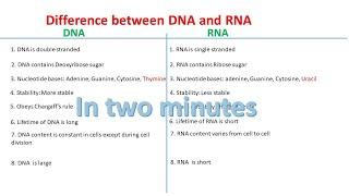 DNA vs RNA | Difference between DNA and RNA |