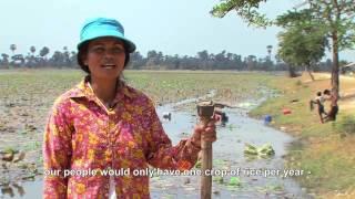 UNDP Weathering the storm (Part 1) - Cambodia Climate Change Alliance