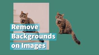 Top 3 tools you can use to remove backgrounds from images