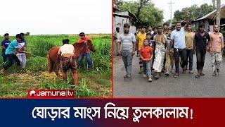 পাবনায় ঘোড়ার মাংস খেয়ে এলাকা ছাড়া একদল যুবক! | Horse Meat | Jamuna TV