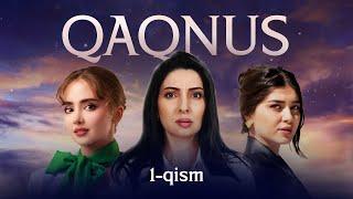 Qaqnus 1-qism