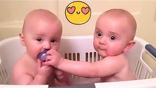 Cute Baby Moments Of The Week - Funny Baby Videos Compilation - Try Not To Laugh Babies - Part 17